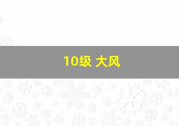 10级 大风